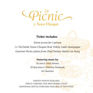Le Picnic by VCP- Ticket entitlements-with DJs-image 2