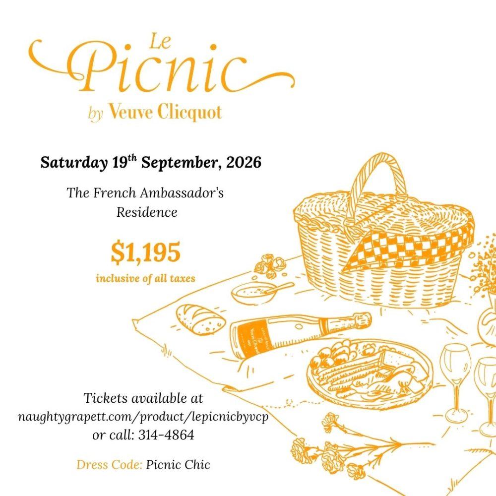 Le Picnic by Veuve Clicquot